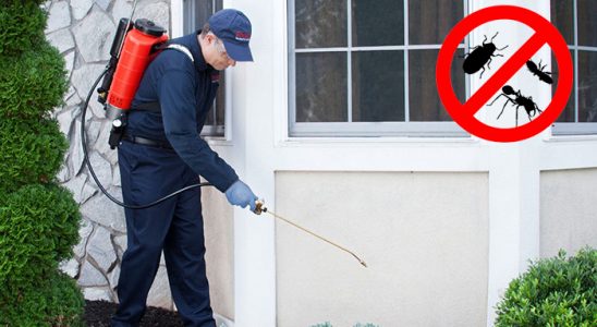 Hayrabolu Akrep İlaçlama böcek ilaçlama ve haşere kontrolü — ilaclama-tr.com